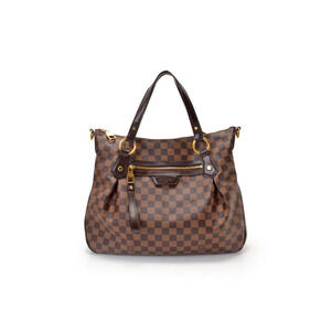 Louis Vuitton Damier Evora
